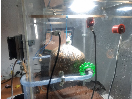 SMART SYSTEM FOR MUSHROOM CULTIVATION INTEGRATED WITH IoT AND DATA ANALYSIS TECHNIQUES